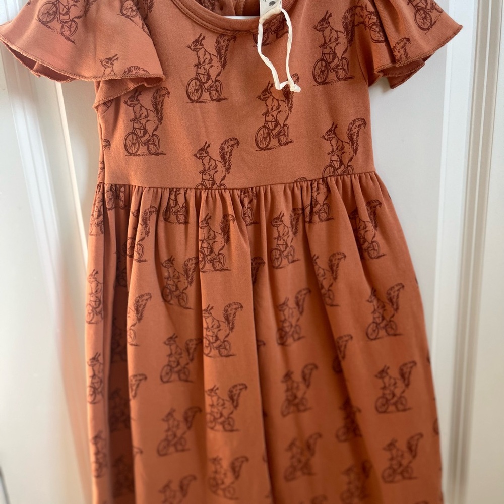 EUC KQ Squirrel Charming Brown Kids Dress